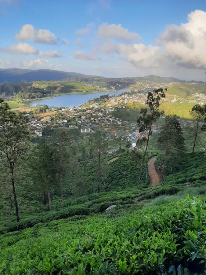 Summer Glow Guest - Nuwara Eliya Extérieur photo